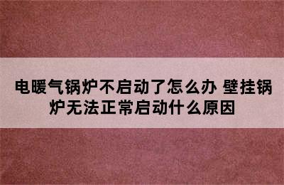 电暖气锅炉不启动了怎么办 壁挂锅炉无法正常启动什么原因